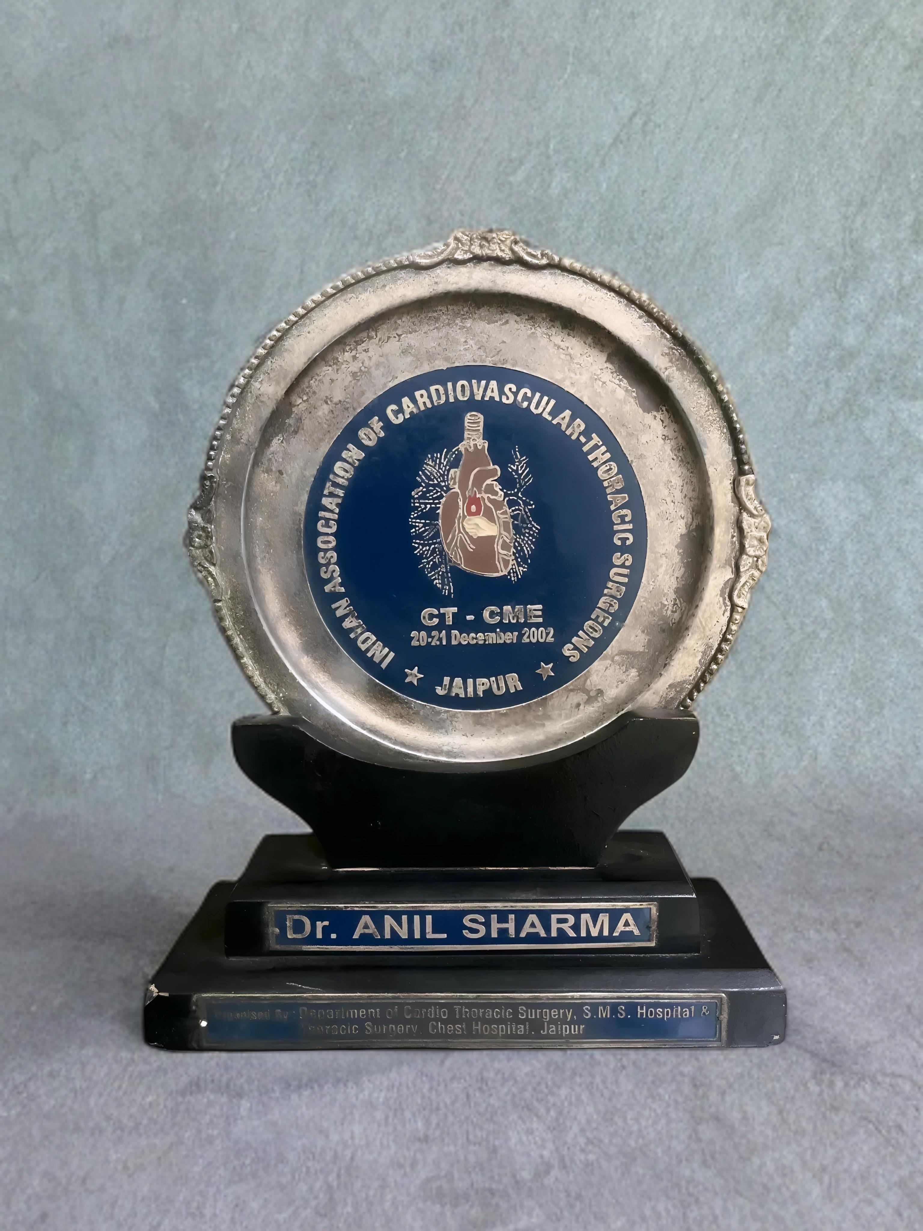 Award Certificate 2002