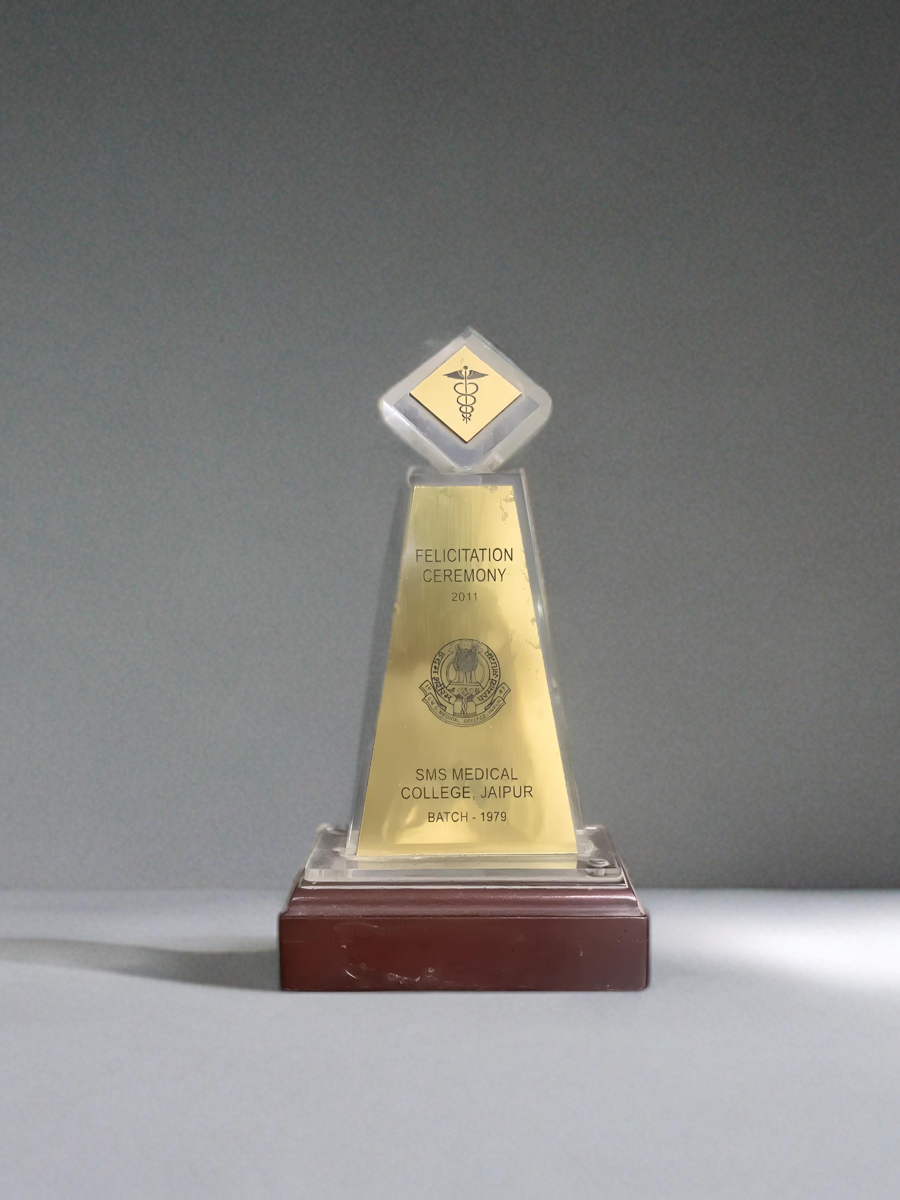 Award Certificate 2011